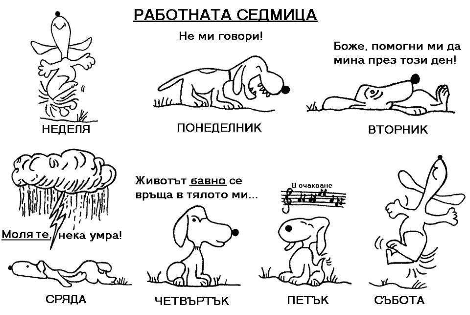 8 супер енергийни и детоксикиращи храни и напитки