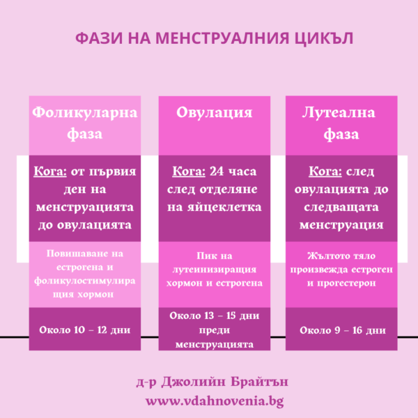 diagrama-fazi-na-menstrualniya-tsikal